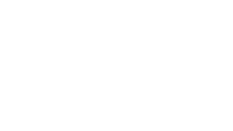 Power Book IV: Force Sezon 1